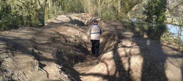 Wandelen Liniedijk